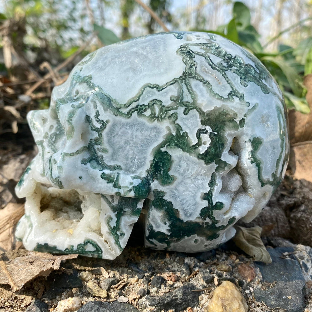 Natural Moss Agate Skull Skeleton Carving Wholesale Natural Crystal Healing Stone Decoration