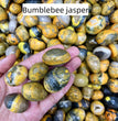 Bumblebee Jasper Tumbles Natural Crystal Confetti Healing Energy