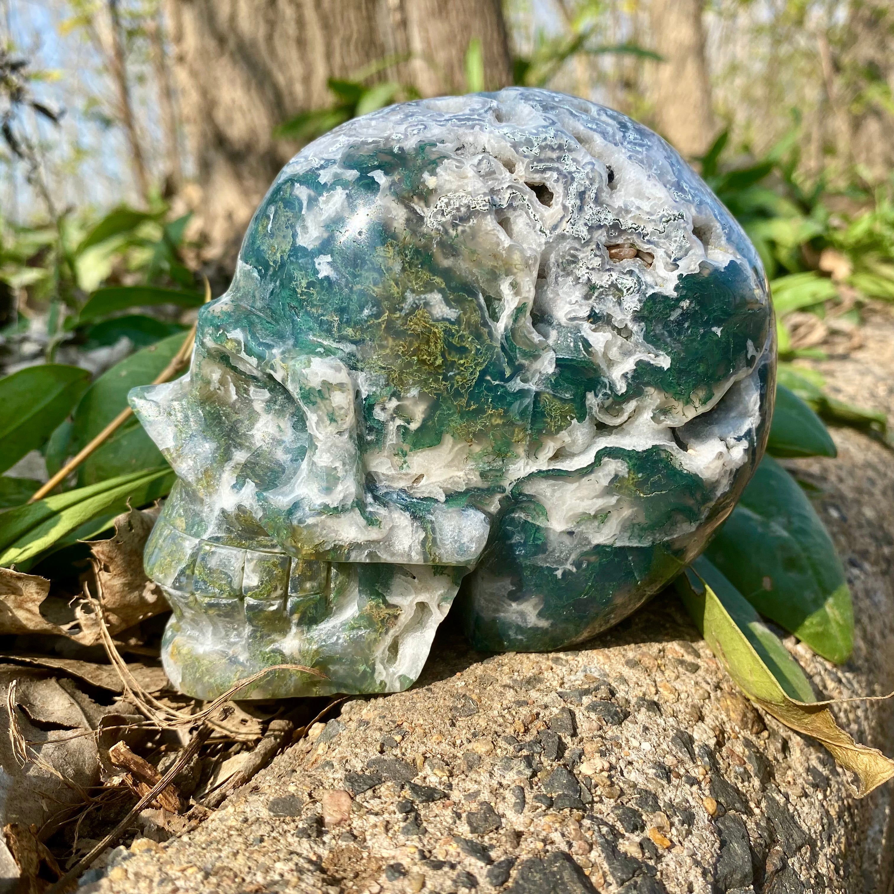 Natural Moss Agate Skull Skeleton Carving