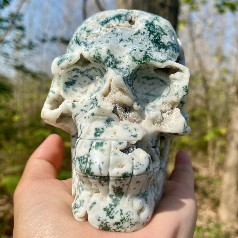 Natural Moss Agate Skull Skeleton Carving Wholesale Natural Crystal Healing Stone Decoration