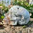 Natural Moss Agate Skull Skeleton Carving Wholesale Natural Crystal Healing Stone Decoration