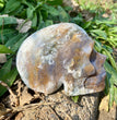 Natural Moss Agate Skull Skeleton Carving Wholesale Natural Crystal Healing Stone Decoration