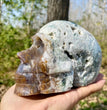 Natural Moss Agate Skull Skeleton Carving Wholesale Natural Crystal Healing Stone Decoration