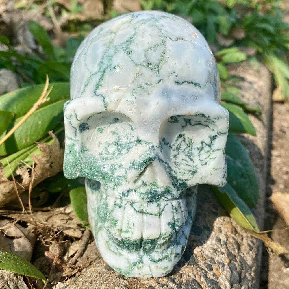 Natural Moss Agate Skull Skeleton Carving Wholesale Natural Crystal Healing Stone Decoration