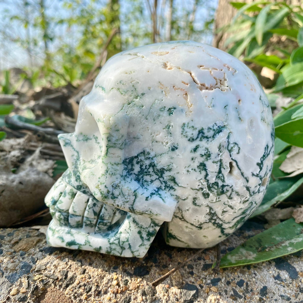 Natural Moss Agate Skull Skeleton Carving Wholesale Natural Crystal Healing Stone Decoration