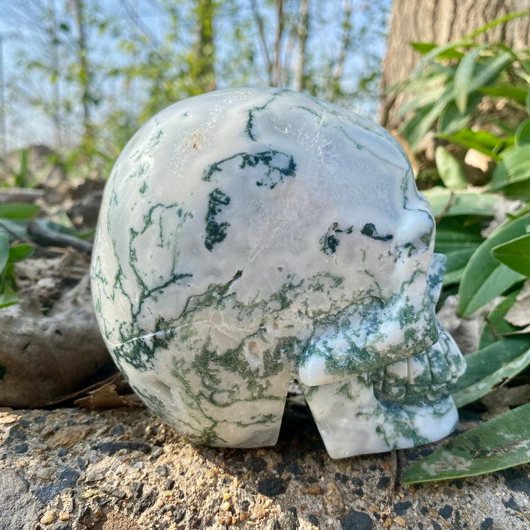 Natural Moss Agate Skull Skeleton Carving Wholesale Natural Crystal Healing Stone Decoration