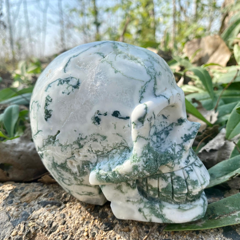 Natural Moss Agate Skull Skeleton Carving Wholesale Natural Crystal Healing Stone Decoration