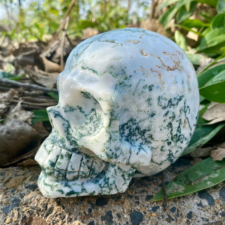 Natural Moss Agate Skull Skeleton Carving Wholesale Natural Crystal Healing Stone Decoration