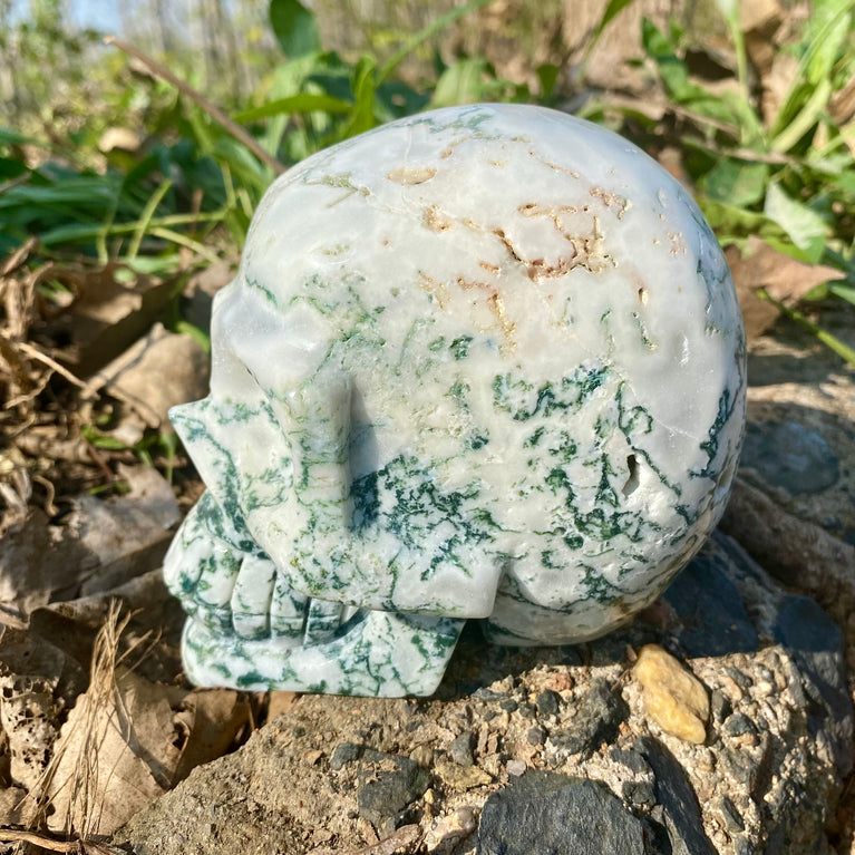 Natural Moss Agate Skull Skeleton Carving Wholesale Natural Crystal Healing Stone Decoration