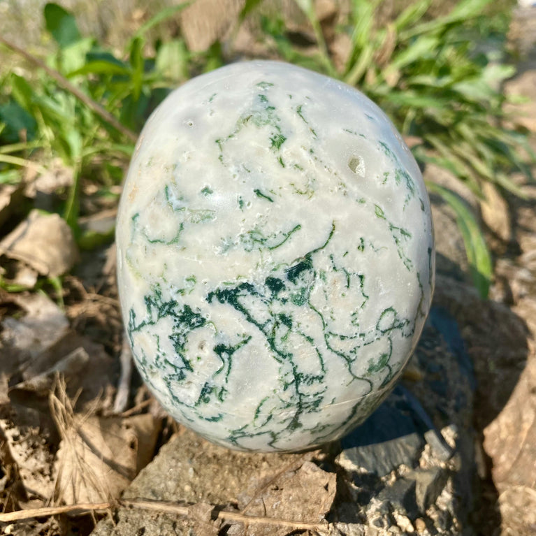 Natural Moss Agate Skull Skeleton Carving Wholesale Natural Crystal Healing Stone Decoration