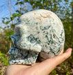 Natural Moss Agate Skull Skeleton Carving Wholesale Natural Crystal Healing Stone Decoration