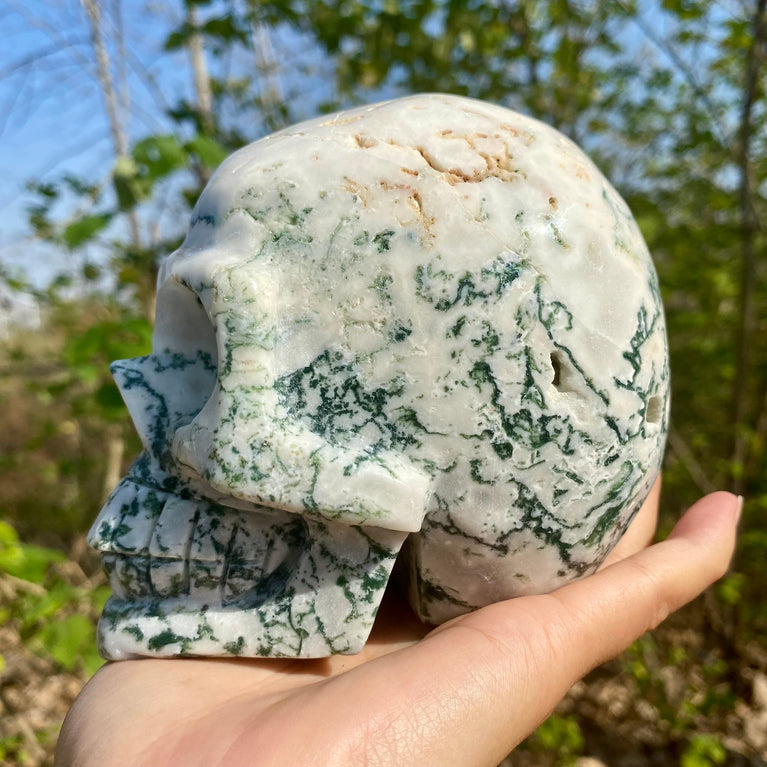 Natural Moss Agate Skull Skeleton Carving Wholesale Natural Crystal Healing Stone Decoration