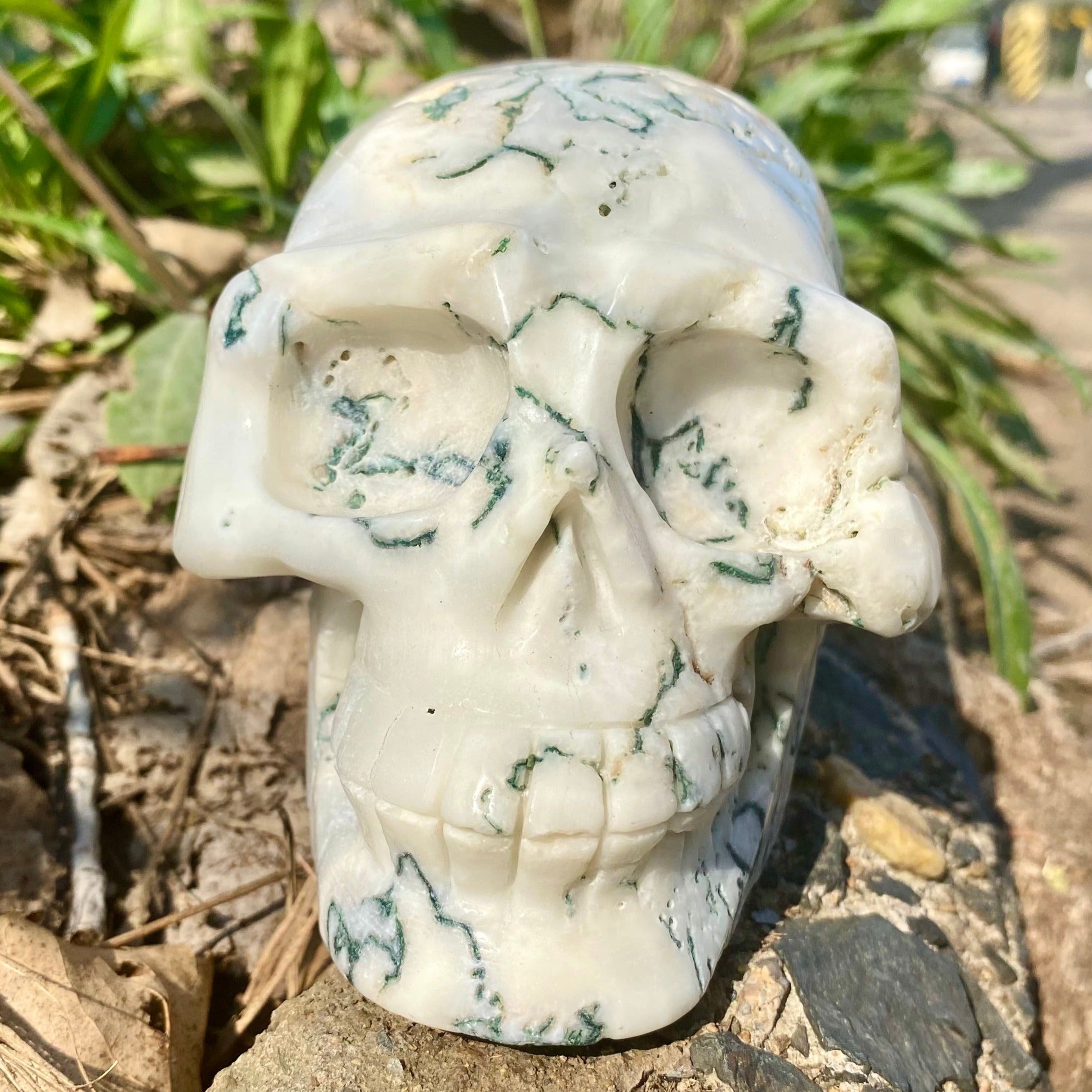 Natural Moss Agate Skull Skeleton Carving