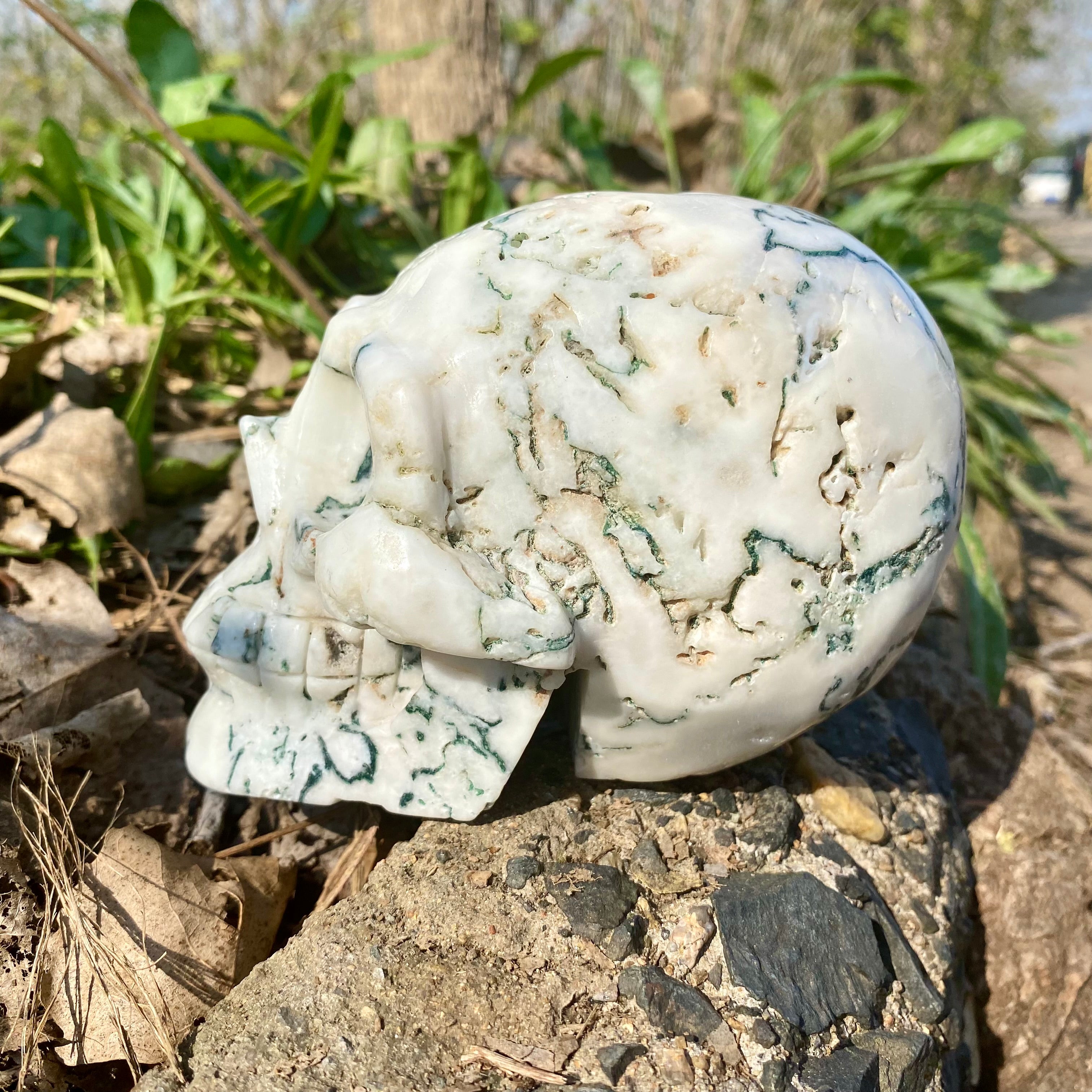 Natural Moss Agate Skull Skeleton Carving