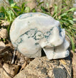 Natural Moss Agate Skull Skeleton Carving Wholesale Natural Crystal Healing Stone Decoration