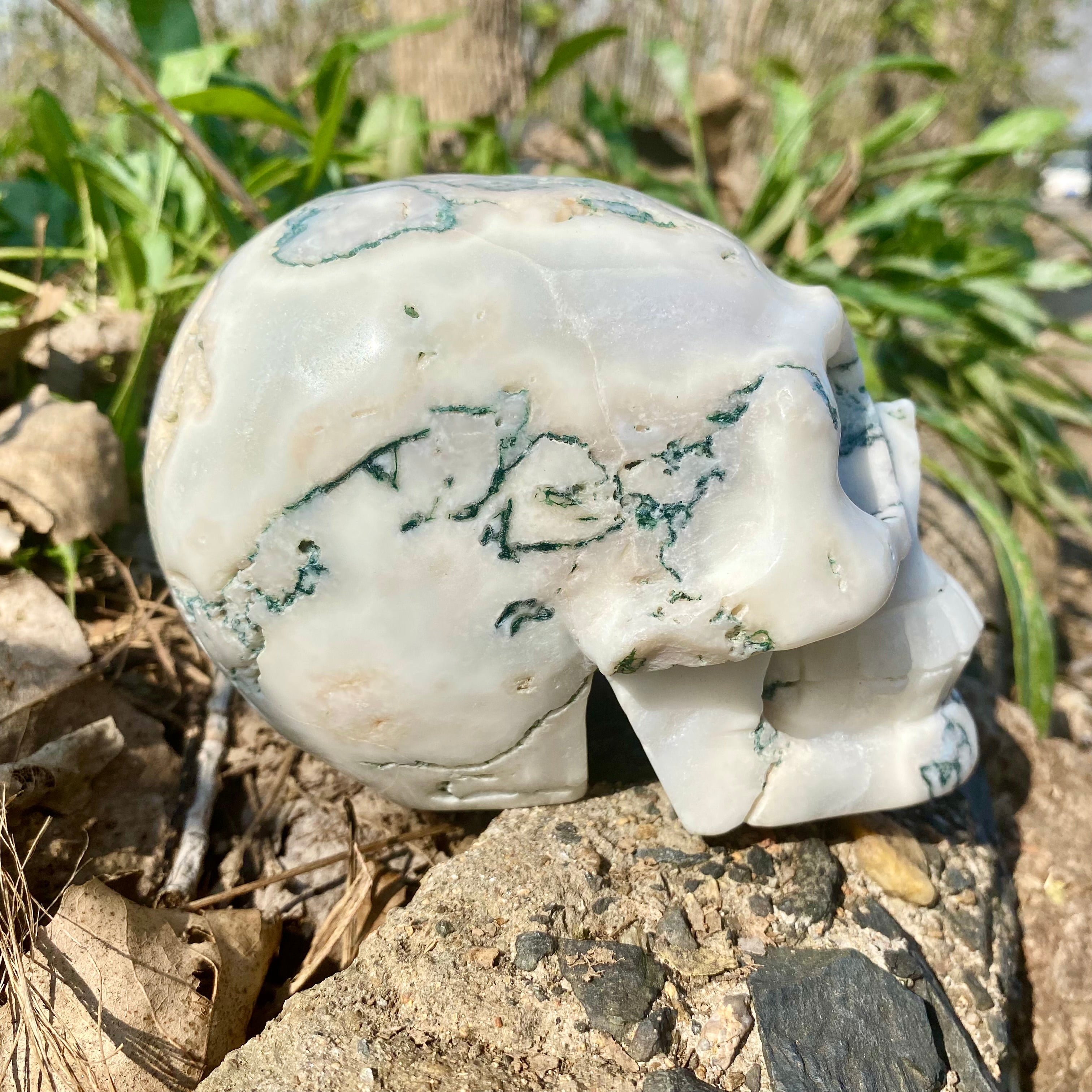 Natural Moss Agate Skull Skeleton Carving