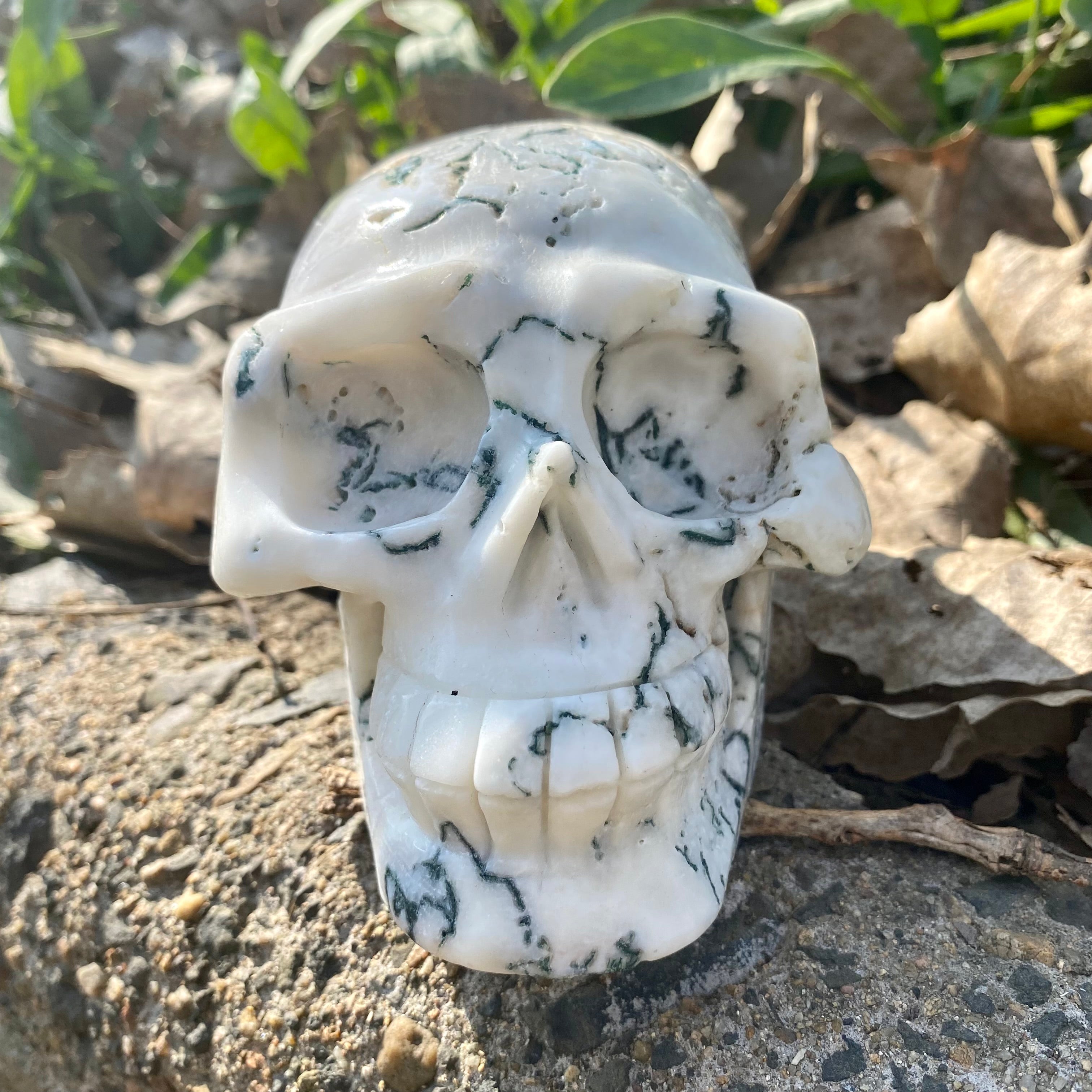 Natural Moss Agate Skull Skeleton Carving