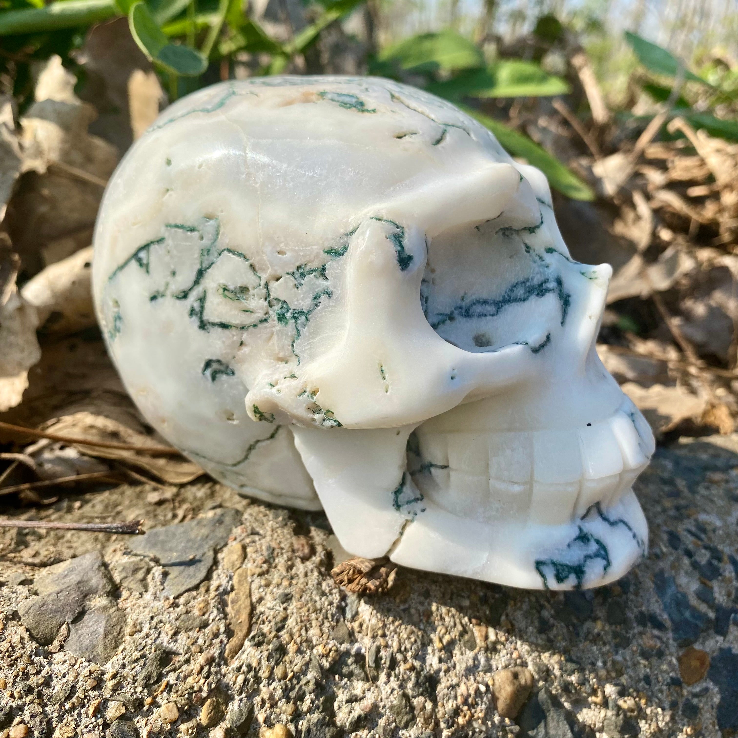 Natural Moss Agate Skull Skeleton Carving