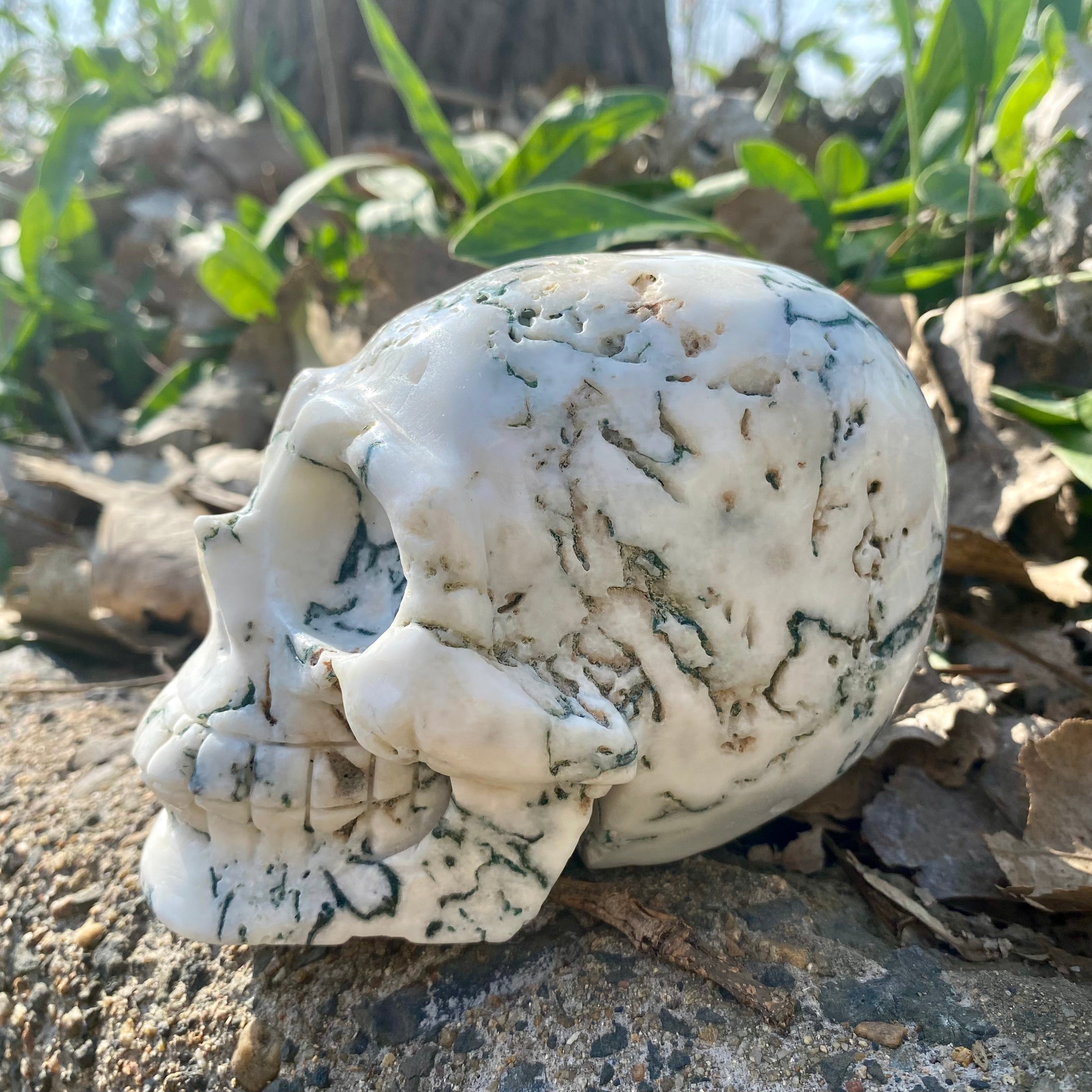 Natural Moss Agate Skull Skeleton Carving