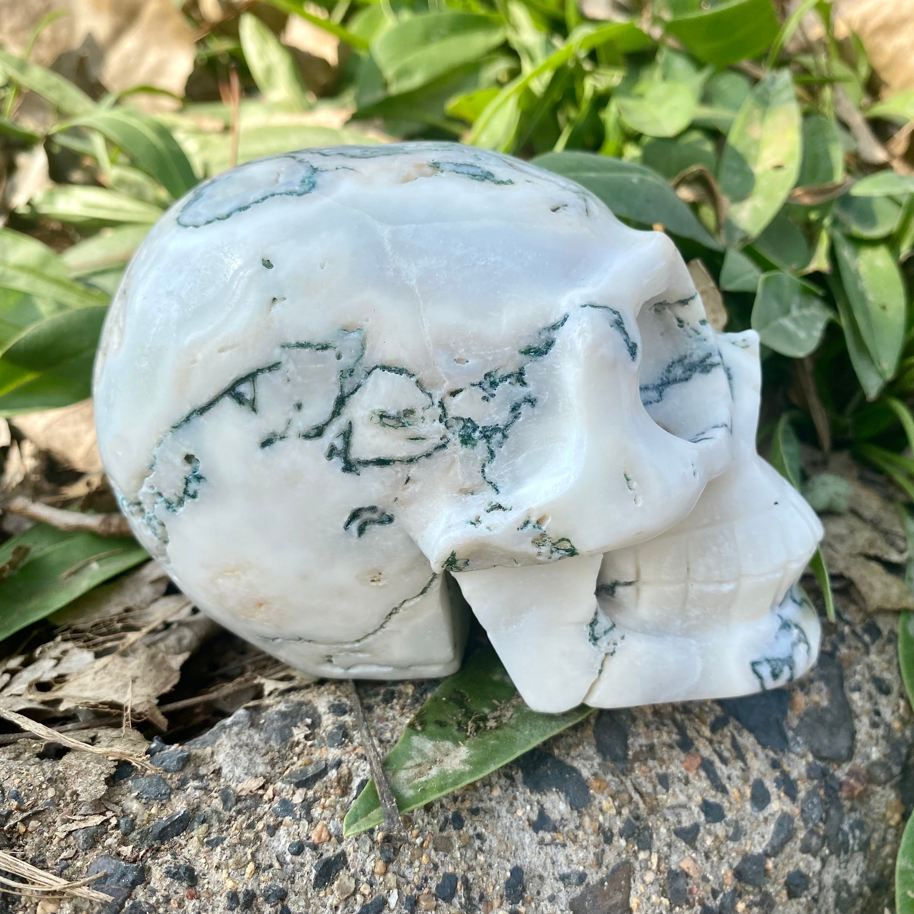 Natural Moss Agate Skull Skeleton Carving