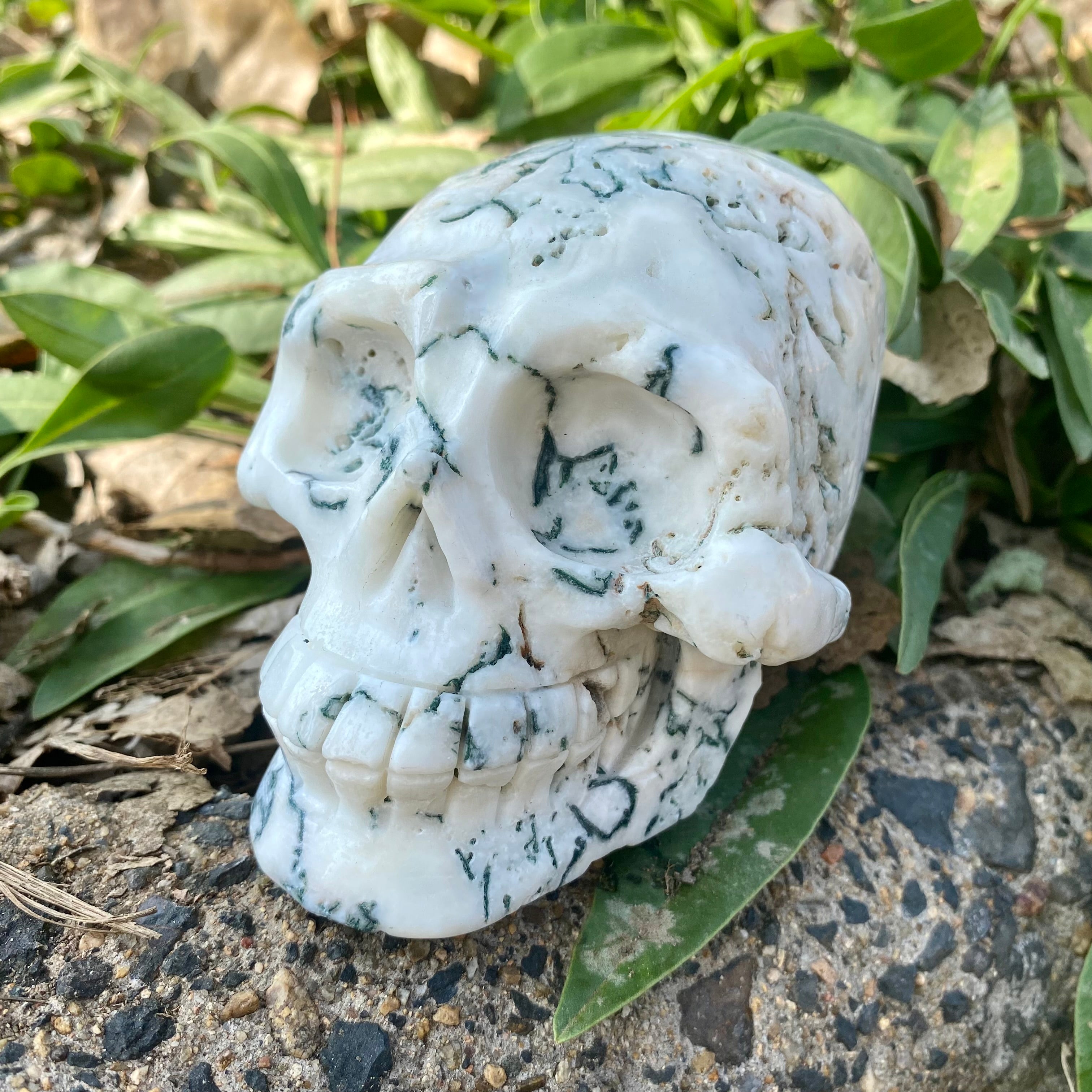 Natural Moss Agate Skull Skeleton Carving