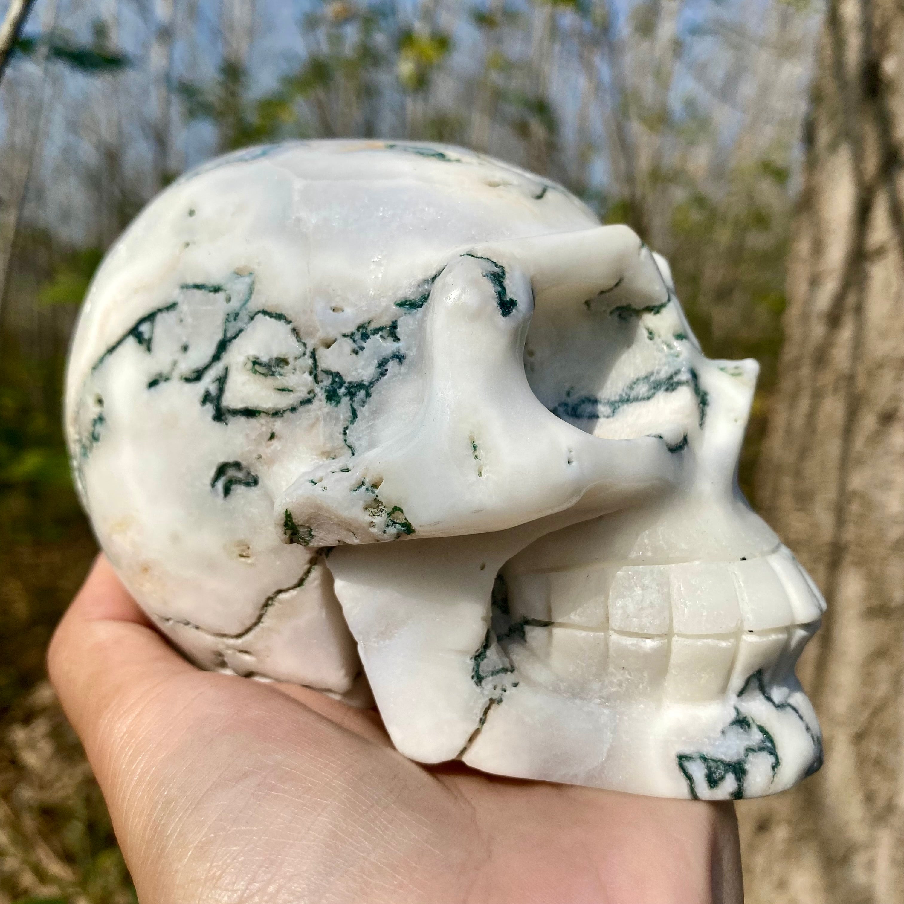 Natural Moss Agate Skull Skeleton Carving