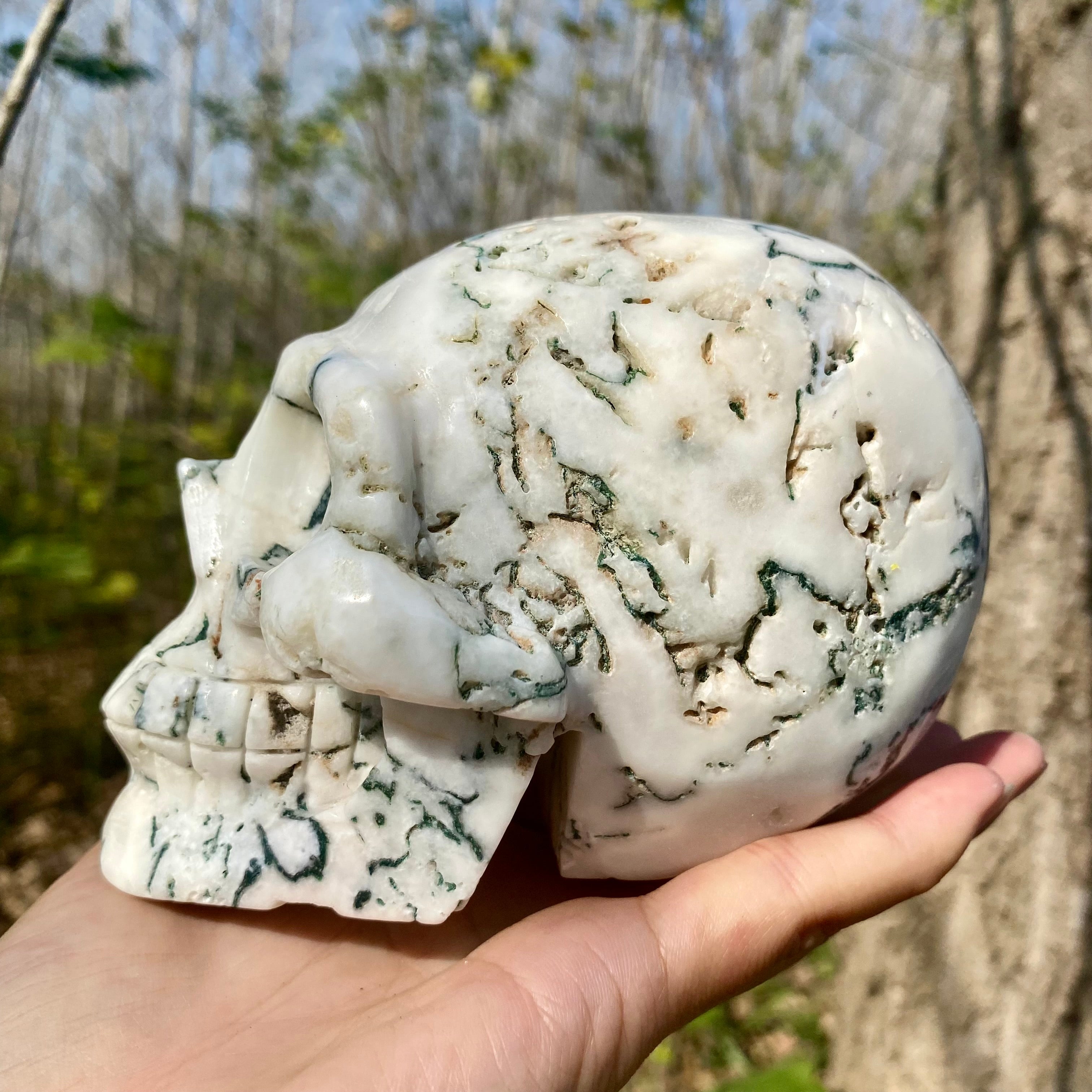 Natural Moss Agate Skull Skeleton Carving