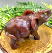 12CM Ocean Jasper Handcarved Elephant Carving Natural Crystal Home Decoration Gift