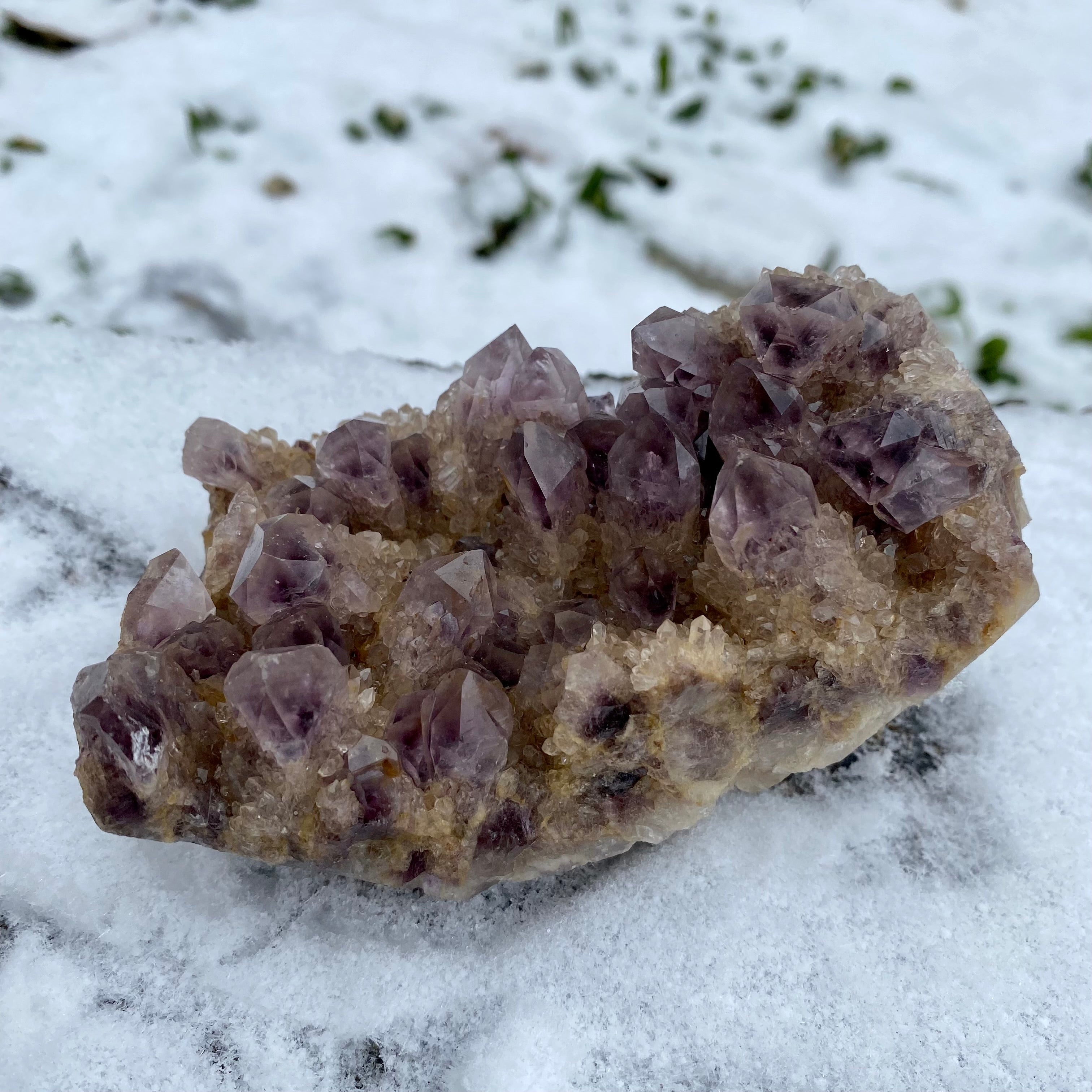 1.1LB Phantom Amthyst Cluster Natural Crystal Raw Stone Specimen