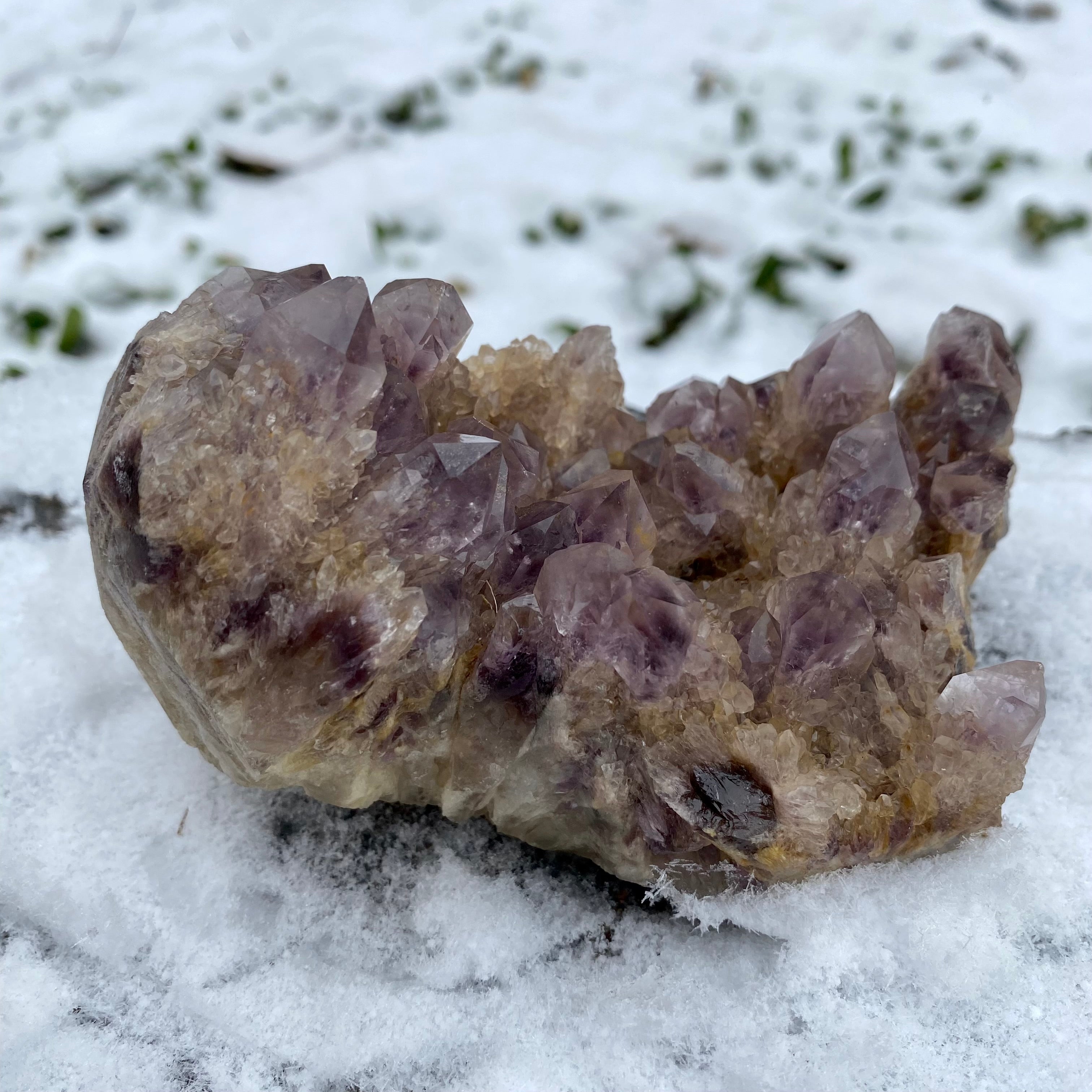 1.1LB Phantom Amthyst Cluster Natural Crystal Raw Stone Specimen