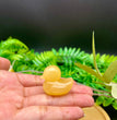 3CM/7CM Yellow Rubber Duck Stone Carving Natural Crystal Gift Home Decoration