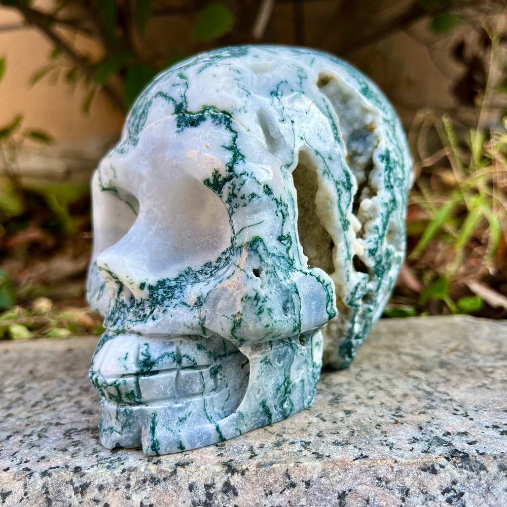 Natural Moss Agate Skull Skeleton Carving Wholesale Natural Crystal Healing Stone Decoration