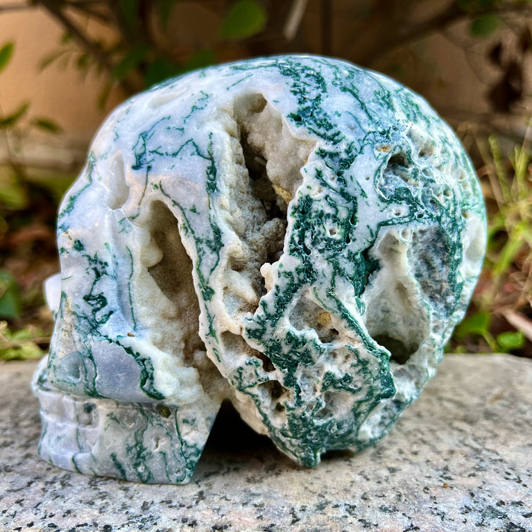 Natural Moss Agate Skull Skeleton Carving Wholesale Natural Crystal Healing Stone Decoration