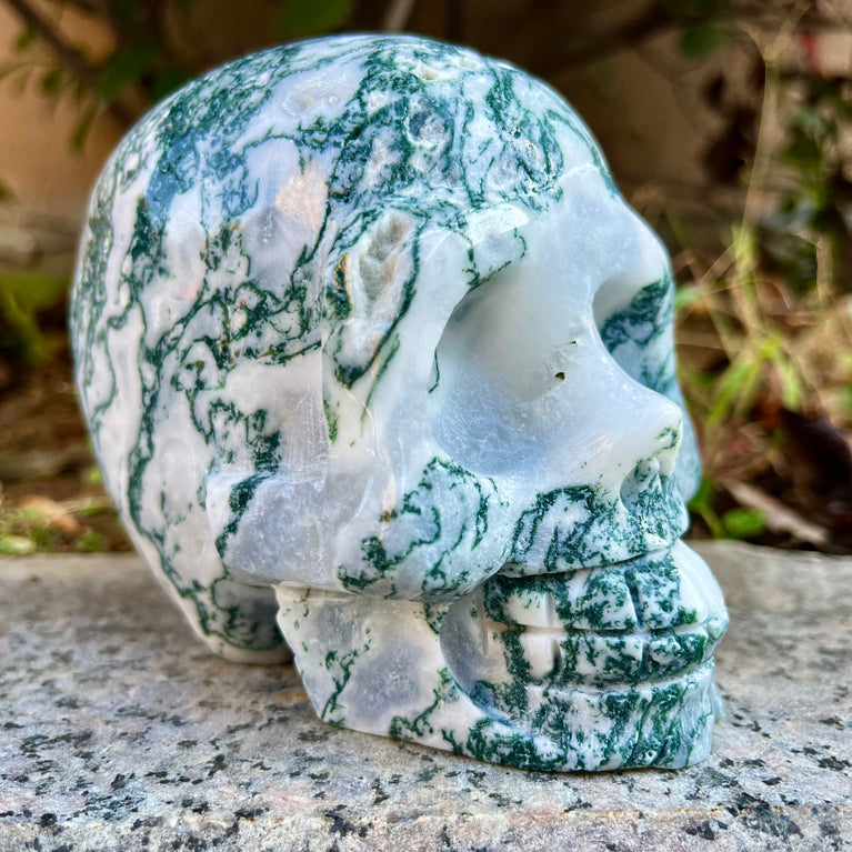 Natural Moss Agate Skull Skeleton Carving Wholesale Natural Crystal Healing Stone Decoration