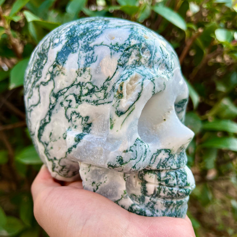 Natural Moss Agate Skull Skeleton Carving Wholesale Natural Crystal Healing Stone Decoration