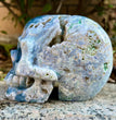 Natural Moss Agate Skull Carving Wholesale Natural Crystal Healing Stone Home Decoration