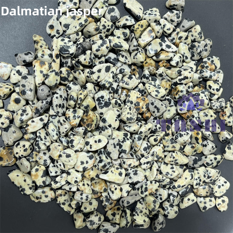 Dalmatian Jasper Chips Natural Crystal Confetti Healing Energy