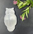 Selenite Bowls Natural Crystal Healing Stone Home Decoration