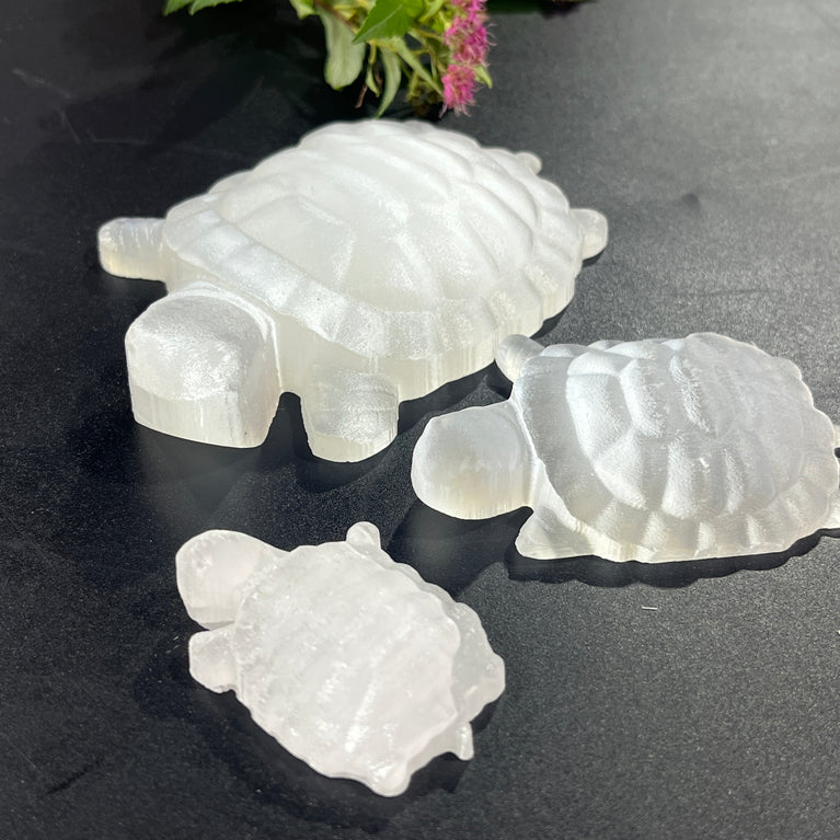 4.5CM/7CM/10CM Turtle Selenite Carving Natural Crystal Healing Stone Home Decoration