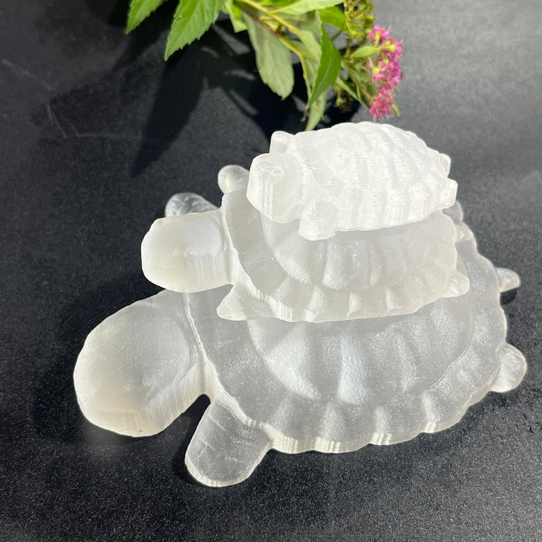 4.5CM/7CM/10CM Turtle Selenite Carving Natural Crystal Healing Stone Home Decoration