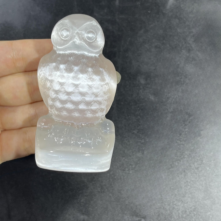 8CM Sitting Owl Selenite Carving Natural Crystal Healing Stone Home Decoration