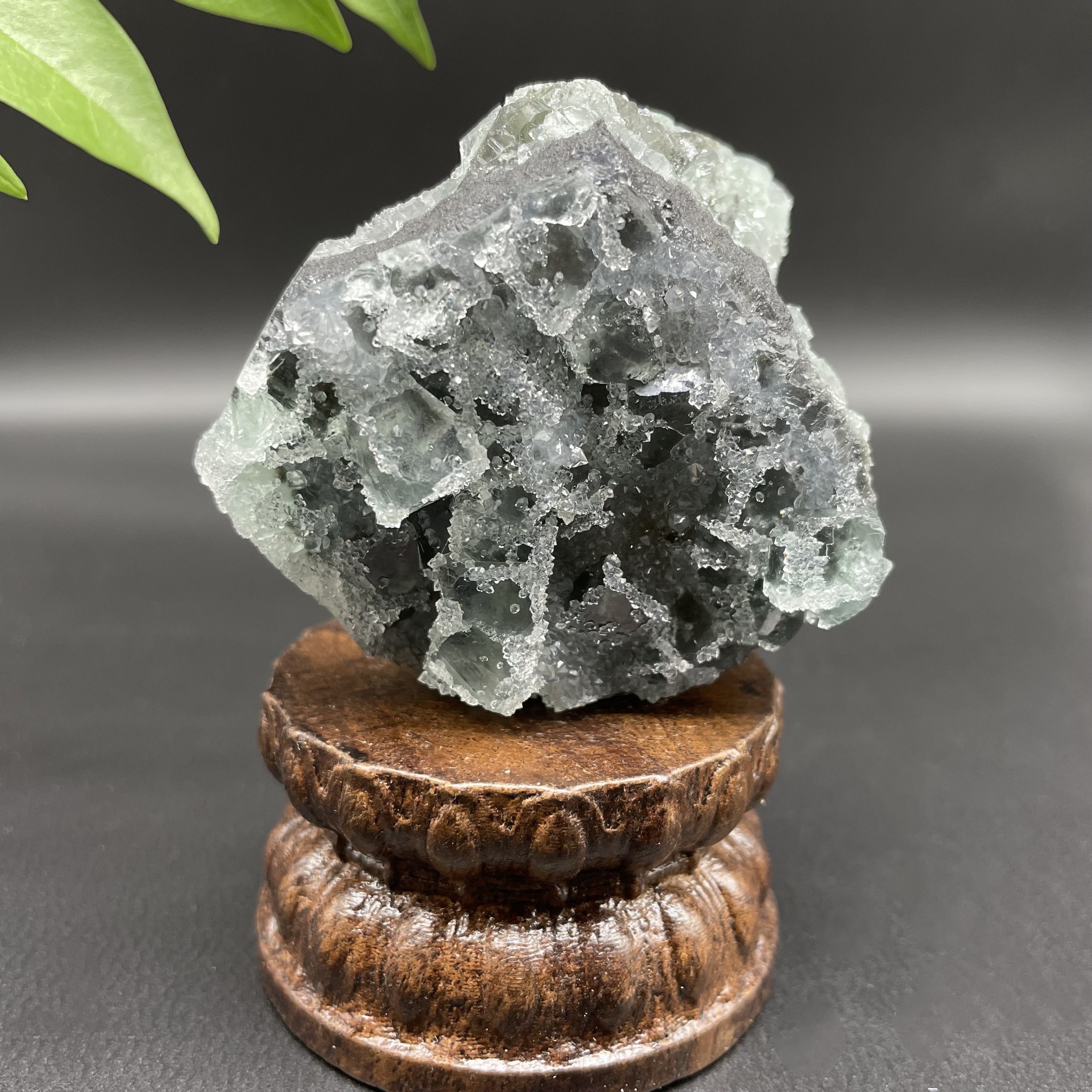 0.352LB Natural Sugar Fluorite Druzy Cubic Crystal Specimen Healing