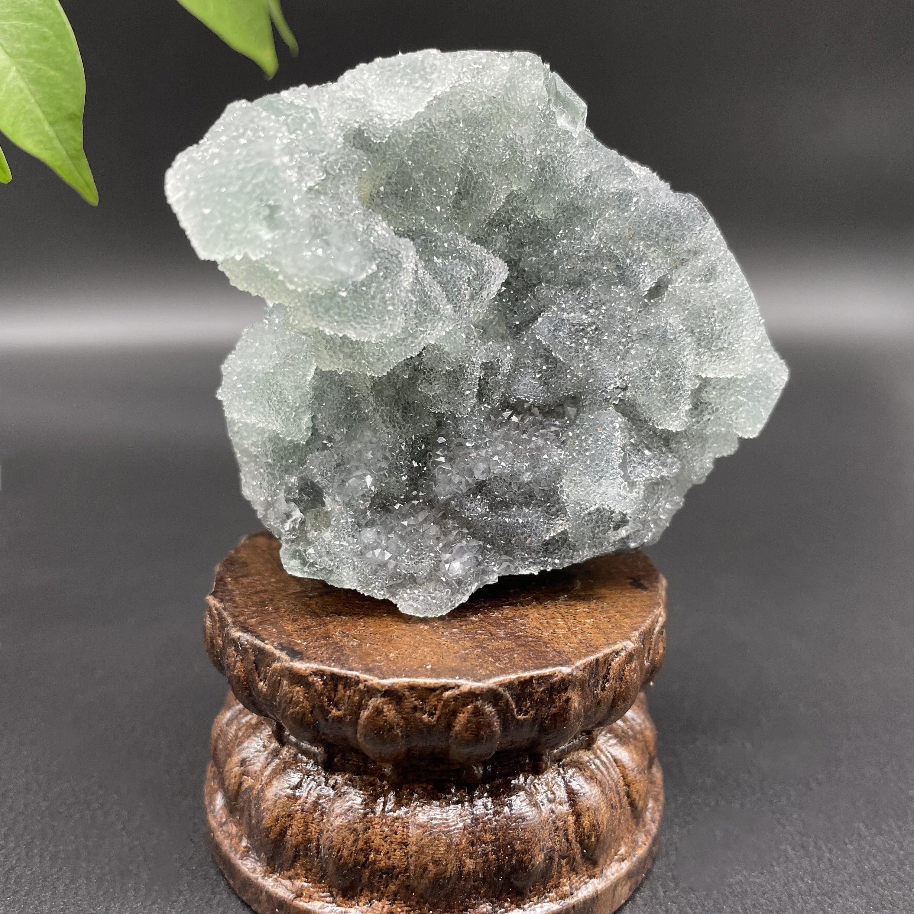 0.352LB Natural Sugar Fluorite Druzy Cubic Crystal Specimen Healing