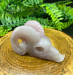 5CM Ram Skull Goat Skull  Natural Crystal Carving