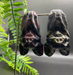 8CM Hanging Bat with Stand Natural Crystal