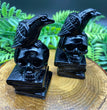 9CM Black Obsidian Raven on Skull Book Carving Natural Crystal Carving