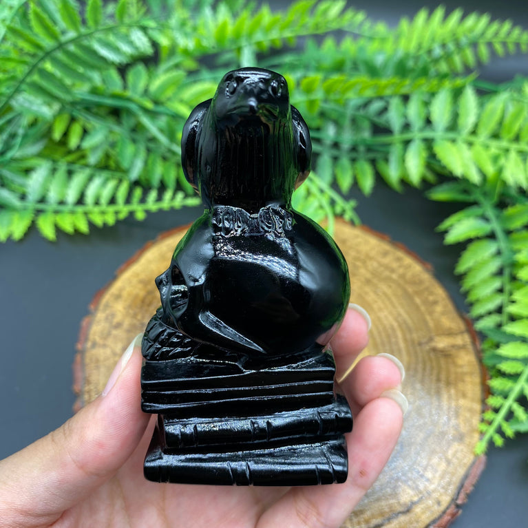 9CM Black Obsidian Raven on Skull Book Carving Natural Crystal Carving