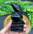 9CM Black Obsidian Raven on Skull Book Carving Natural Crystal Carving