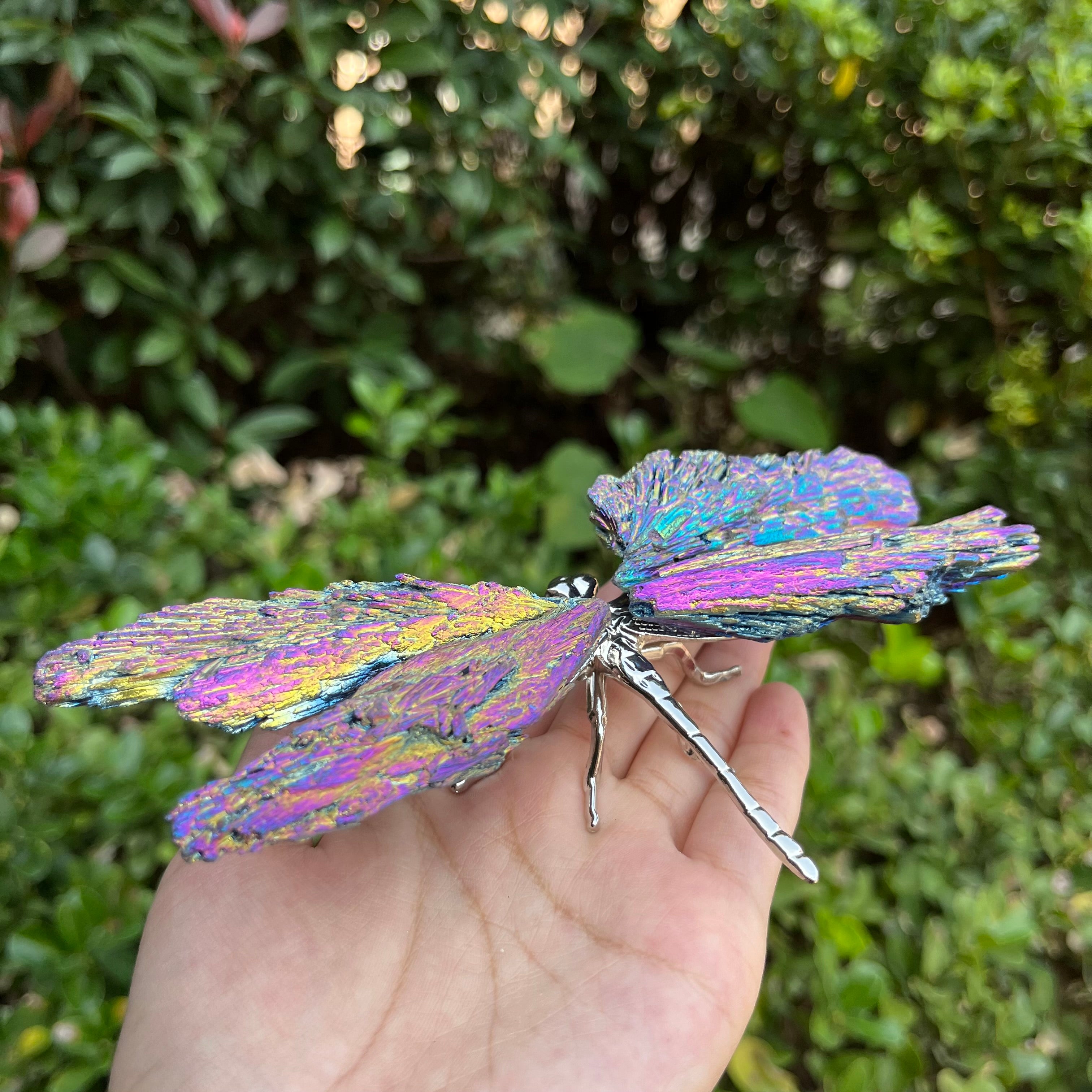 14CM Aura Tourmaline Dragonfly