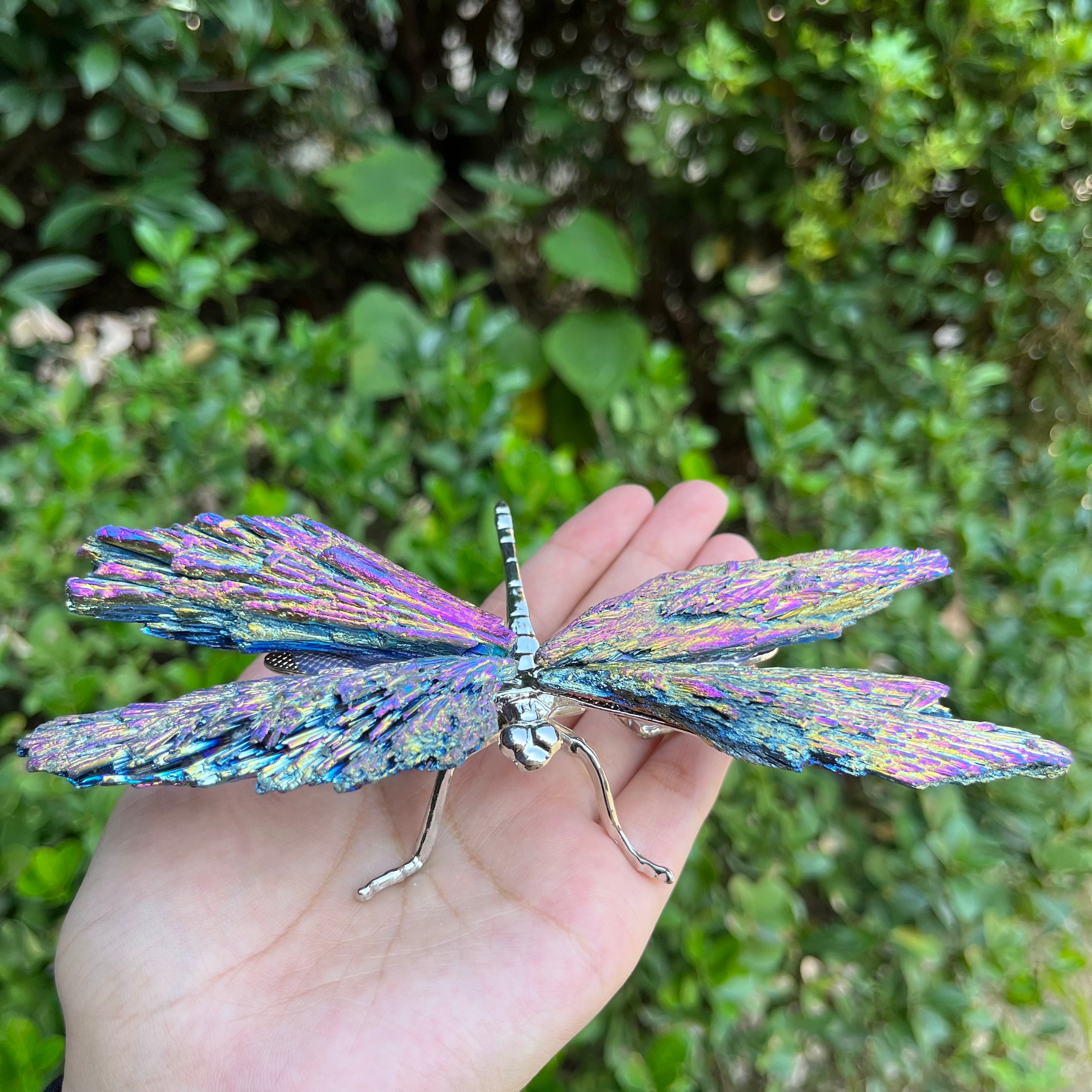 14CM Aura Tourmaline Dragonfly